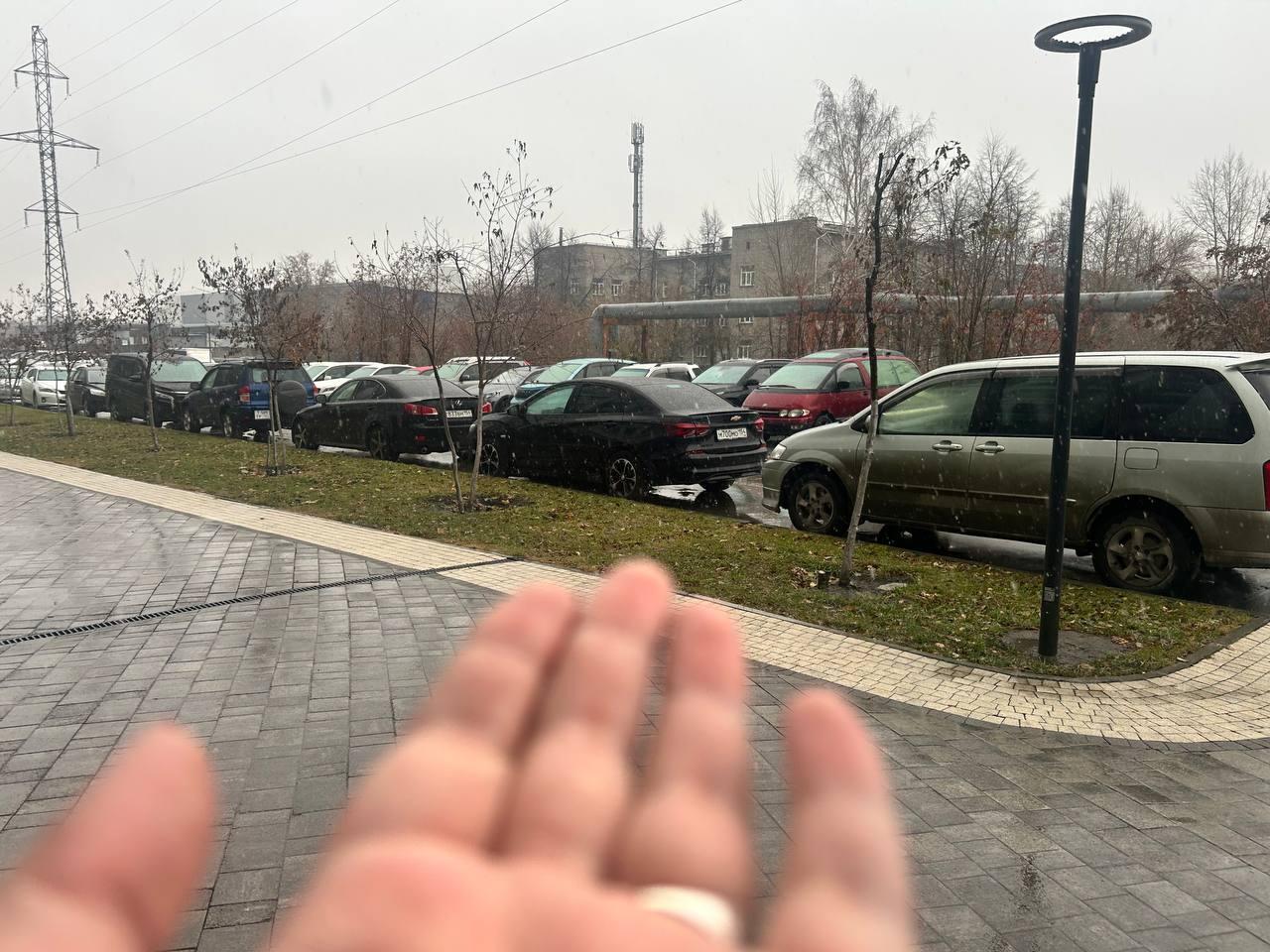 Фото На Новосибирск обрушился снегопад 3 ноября 2 - Сиб.ФМ Фото На Новосибирск обрушился снегопад 3 ноября 2